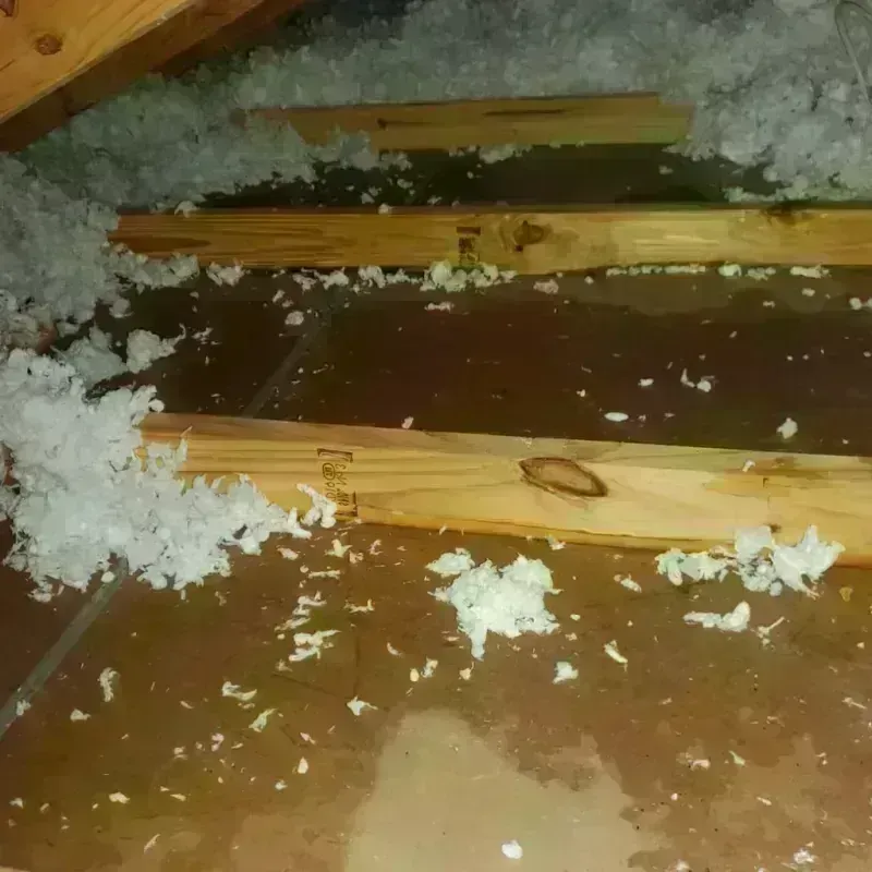 Attic Water Damage in Mahomet, IL