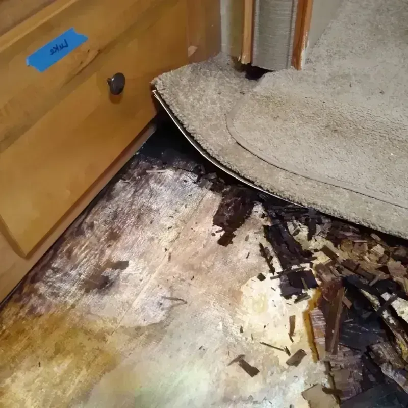 Wood Floor Water Damage in Mahomet, IL